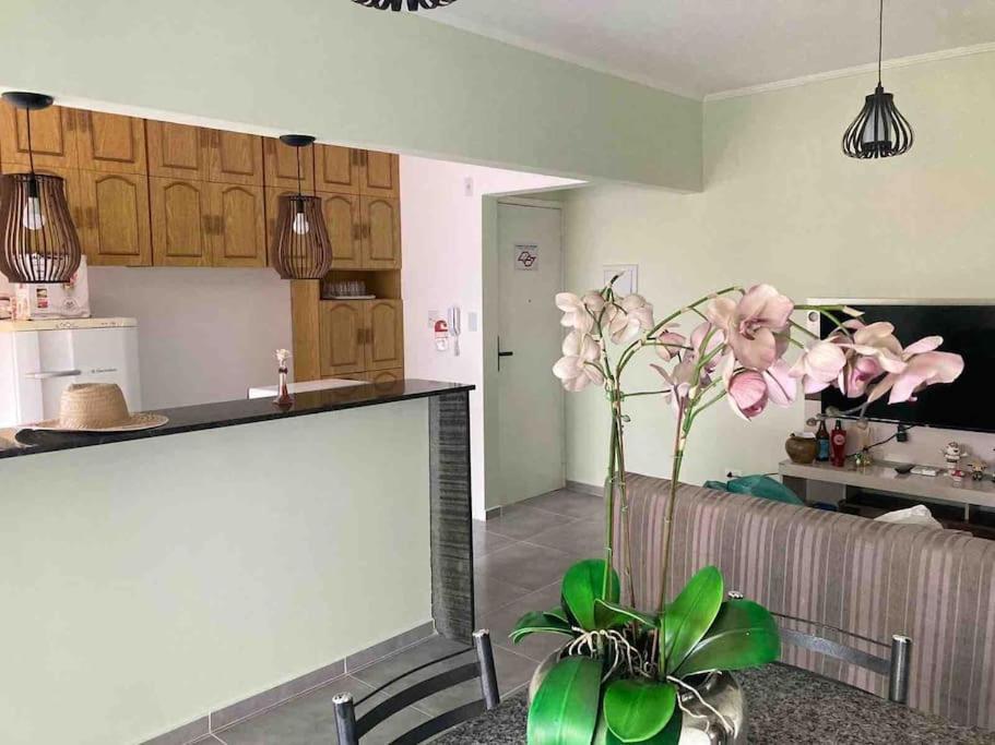 Апартаменты Apartamento Centro - Jardim Caiahu - Монгагуа Экстерьер фото